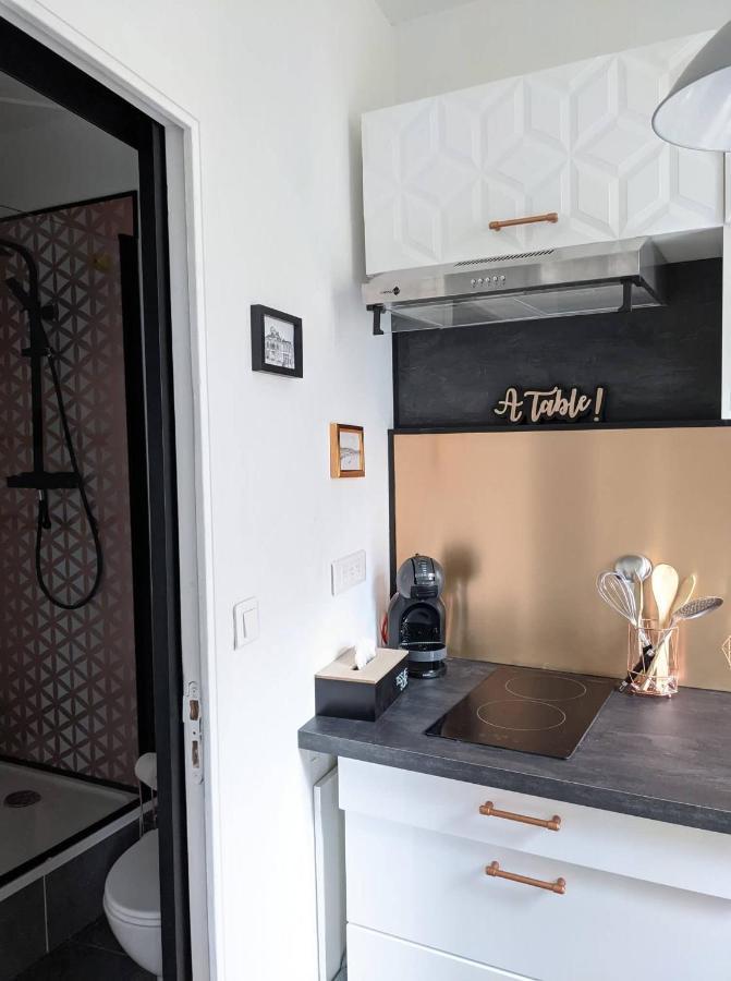 Appartement Hypercentre Calme Proche Centre Des Congres アンジェ エクステリア 写真